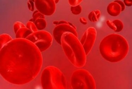 遗传性椭圆形红细胞增多症