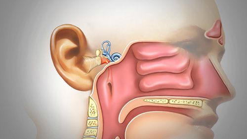 单侧耳鸣怎么消除?