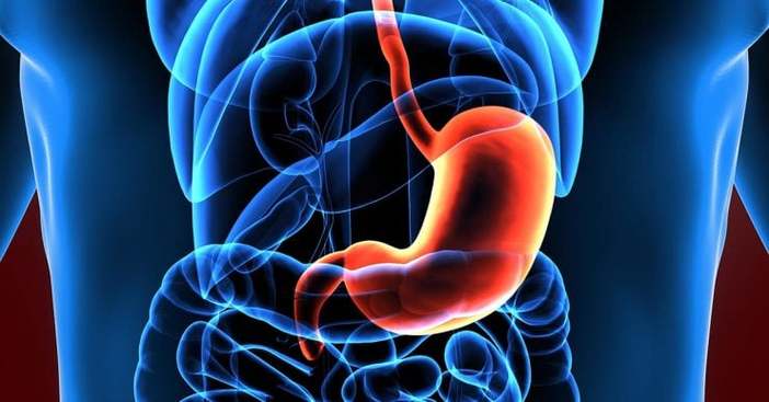 慢性胃肠炎的特征是什么