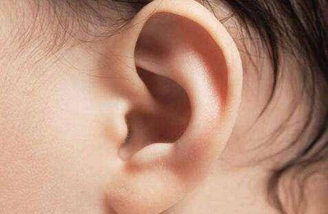 耳鸣对应的器官是什么?