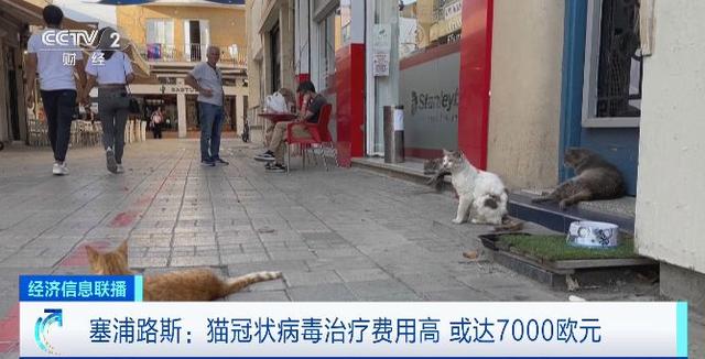 猫管状病毒.jpg