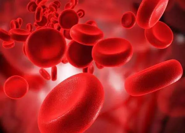 凝血因子缺乏的临床表现，易出血/血肿和瘀斑/月经过多