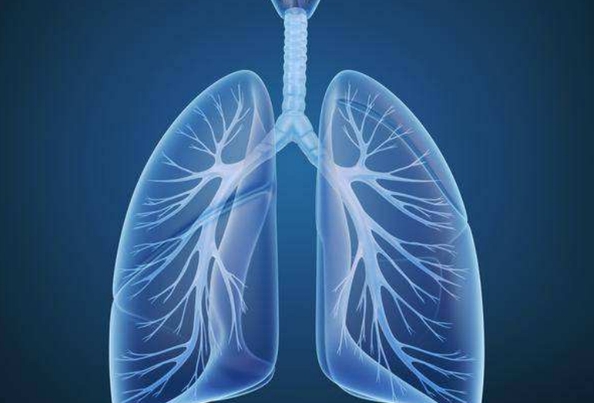 肺水肿的原因是心源性肺水肿/急性呼吸窘迫综合征