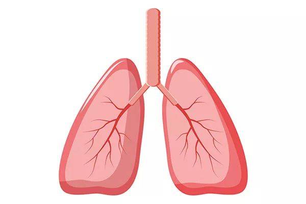 肺水肿如何治疗，病因治疗/症状缓解