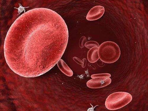 溶血病是什么病，红细胞被过度破坏的血液疾病