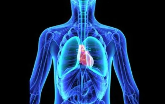 肺隔离症是什么，一种罕见但严重的先天性疾病