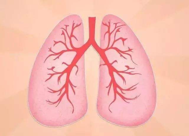 湿肺是什么原因造成的(肺部受潮引起)