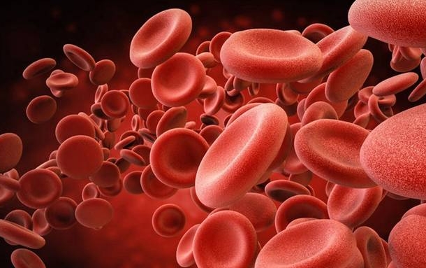 红细胞增多症能活多久，通过治疗和管理可以延长患者寿命