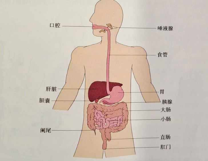 微信图片_20231201154006