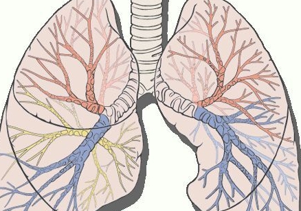 支气管结核怎么检查出来，常见5种检查方法