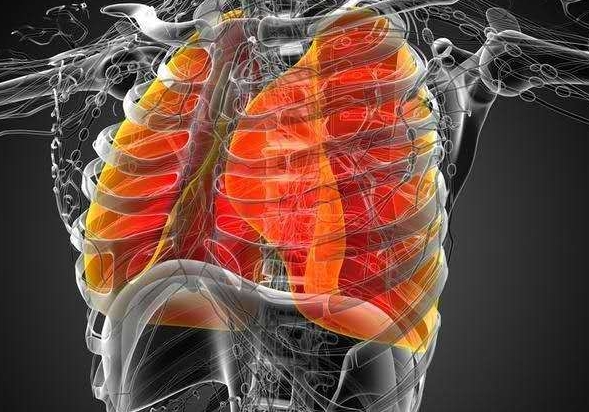 ​支气管肺隔离症供血动脉常见于，肺上静脉/肺动脉(5个部位)