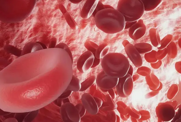 真性红细胞增多症早期血常规，通过早期诊断制定合理的治疗方案