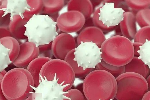 真性红细胞增多症是什么病，真性红细胞增多症的诊断和治疗