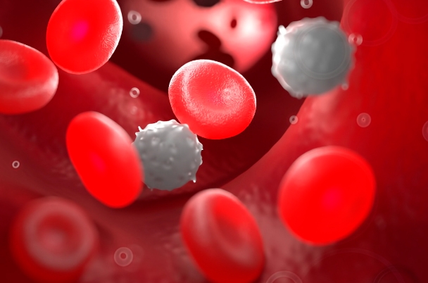 真性红细胞增多症能治好吗，真性红细胞增多症的治疗方法