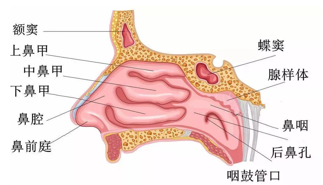 微信图片_20231204181952