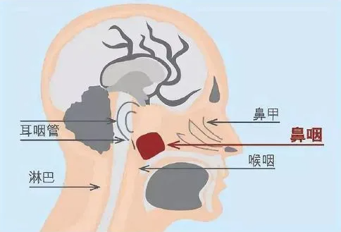 微信图片_20231205150233