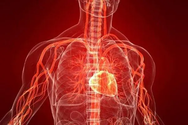 瓣膜病是什么病？心脏瓣膜的结构或功能异常的心脏疾病
