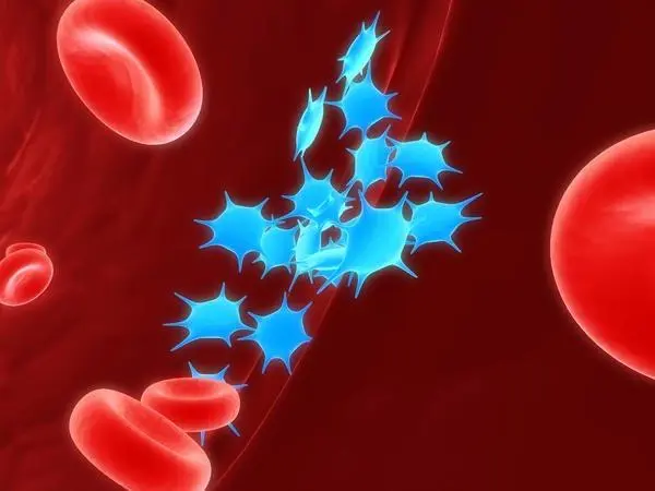 出血性疾病有哪些，五种常见的出血性疾病