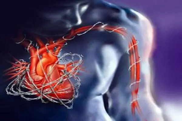 房室传导阻滞是哪里出了问题，心脏传导系统出现问题