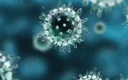 风疹病毒抗体IgG过高通常是一个好的迹象