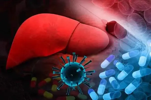 肝炎会传染吗，主要通过血液和体液的接触