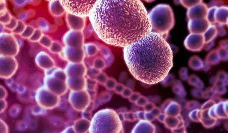 链球菌感染会传染吗，呼吸道飞沫和受污染的物体而传播