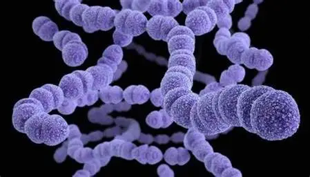 链球菌感染是什么原因，伤口感染/空气传播和接触感染等