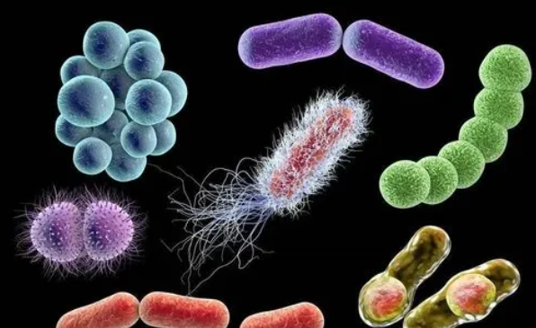 链球菌感染怎么引起的，飞沫传播和直接接触传播