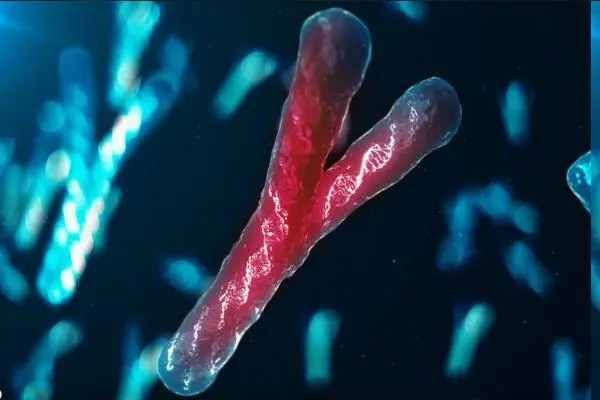 家族性低血磷性佝偻病遗传方式，常染色体显性遗传