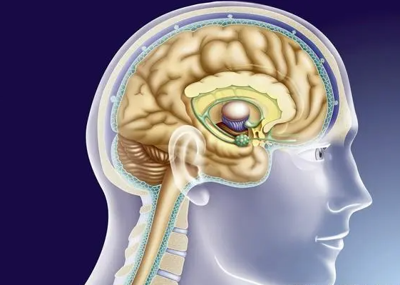脑垂体瘤能根治吗，早期发现和治疗可以提高治疗效果