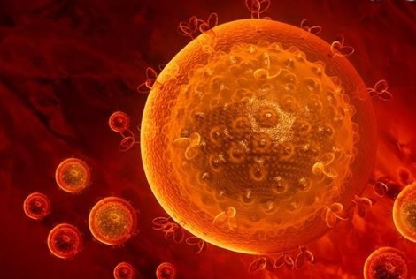 巨细胞病毒感染性疾病是什么，巨细胞病毒感染性疾病诊断和预防