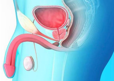 尿道狭窄是什么原因造成的，先天性和后天性两种