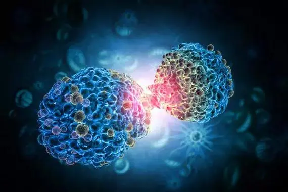 朗格汉斯细胞组织细胞增生症是什么，朗格汉斯细胞组织细胞增生症的诊断和治疗