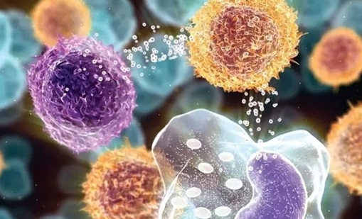 朗格汉斯细胞组织细胞增生症怎么引起的，吸烟/环境因素/免疫系统异常