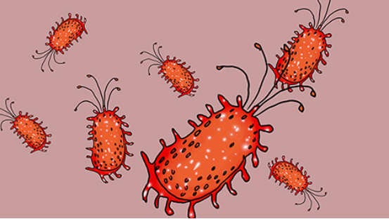 软下疳是梅毒吗？存在关联，但它们并不是同一种疾病
