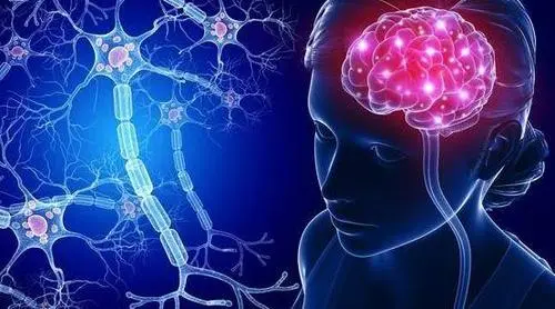 神经细胞瘤长在什么地方，大脑/脊髓/神经节和神经纤维