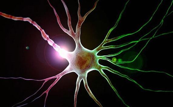 神经纤维瘤病能活多久？因个体差异而异，无法精确预测