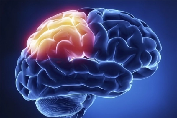 脑硫脂沉积病能治好吗，通过治疗来提高患者生活质量