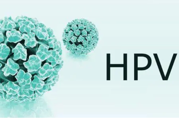 HPV感染途径有哪些，性传播/直接接触传播/间接接触传播