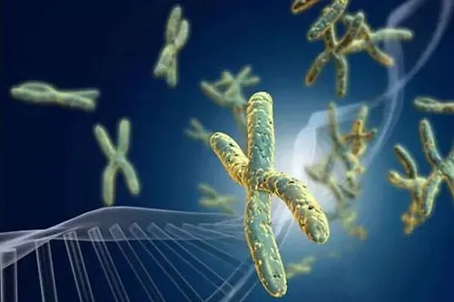 染色体异常会导致什么疾病，唐氏综合征和爱德华综合征等