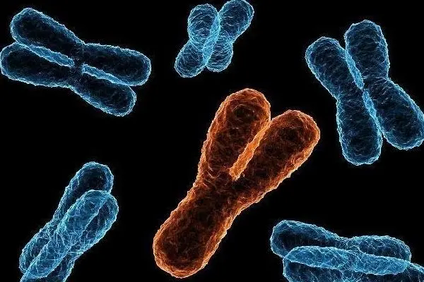 染色体异常怎么解决，辅助生殖技术和基因编辑技术