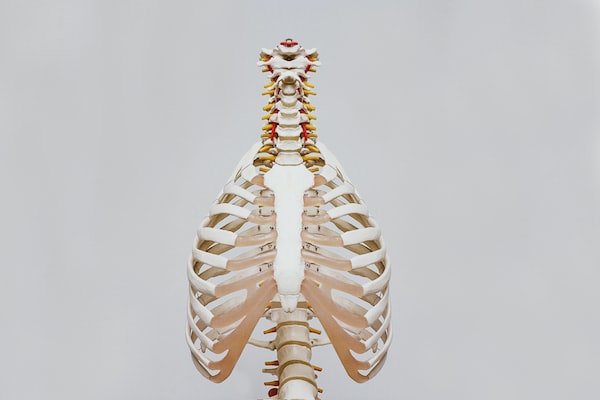 thoracic