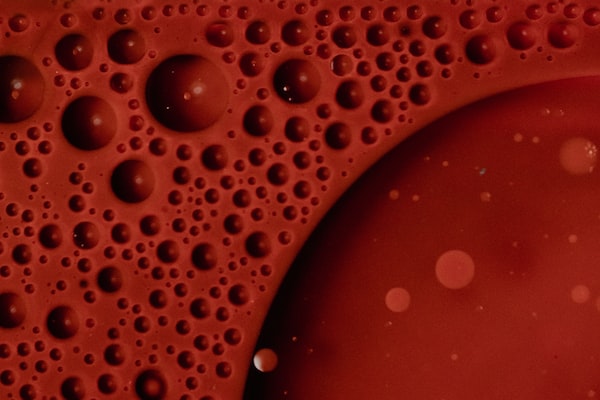 blood cells