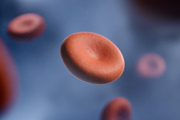 Blood Cells